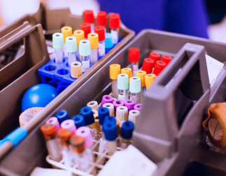 A container holding medical vials, bandages and balls for a blood draw